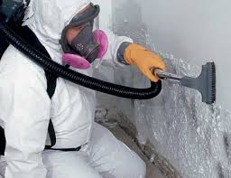  Flint Hill, MO Mold Removal & Remediation Pros